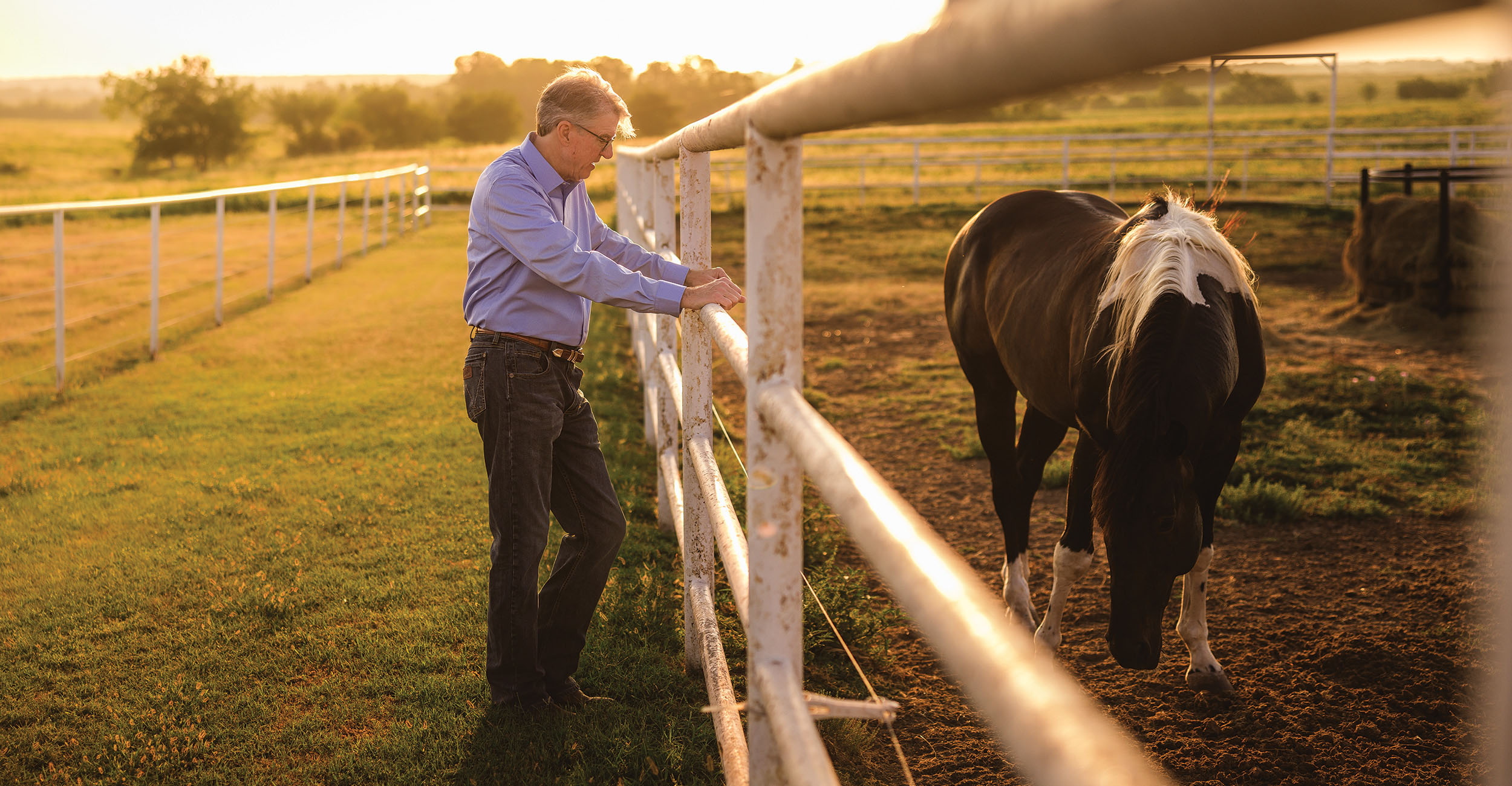  President Hess, dressed in a blue shirt and jeans, stands beside a white fence in a grassy field, looking at a black horse with white markings on its mane. The setting sun casts a warm glow over the scene.